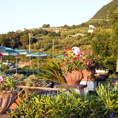 Hotel Poggio Del Sole Forio di Ischia Restaurant billede