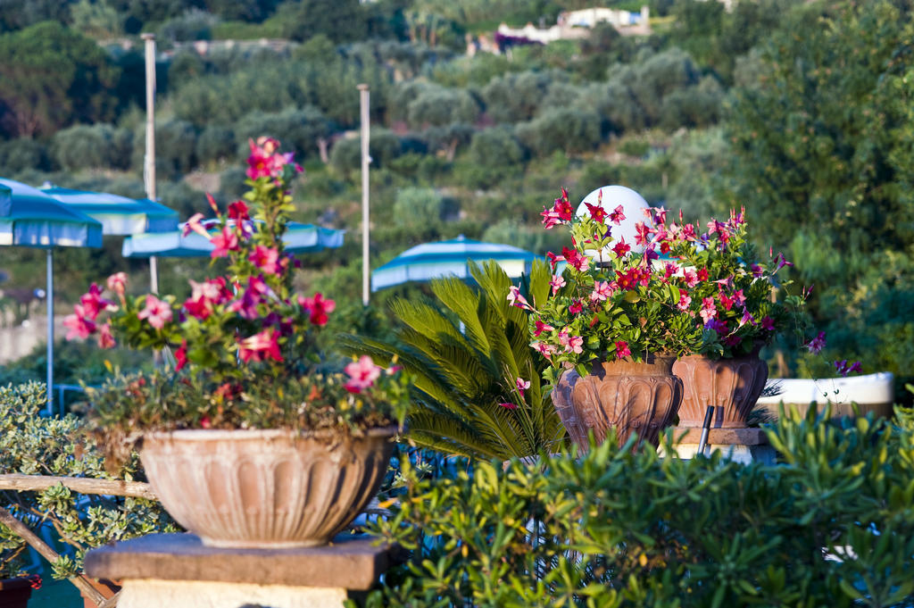 Hotel Poggio Del Sole Forio di Ischia Eksteriør billede