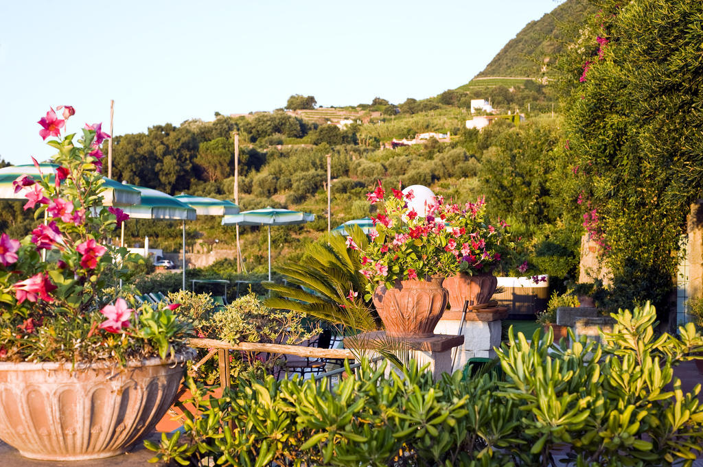 Hotel Poggio Del Sole Forio di Ischia Restaurant billede
