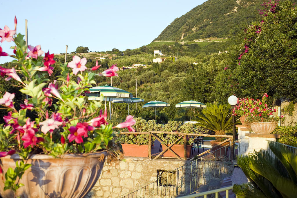 Hotel Poggio Del Sole Forio di Ischia Eksteriør billede